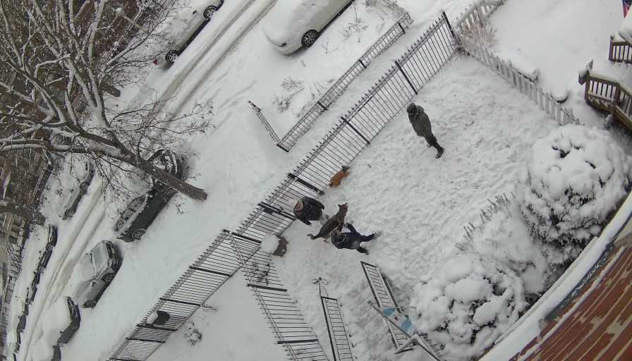 Reolink Camera Two_01_Reolink Home Hub One_20260125145656.jpg